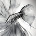 AJI-FRY (@aji_fry_art) Twitter profile photo AJI-FRY (@aji_fry_art) Twitter profile photo