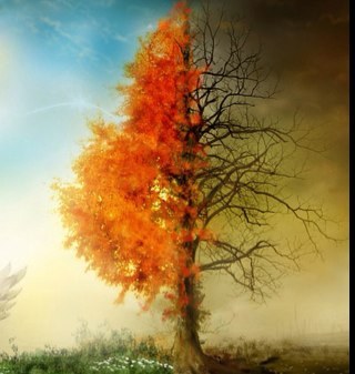 philosoaper's profile picture. 