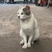 🌒 (@datdreamstuff) 's Twitter Profile