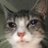 aintfinee's profile image