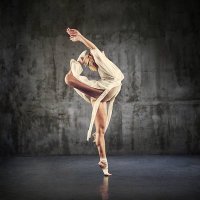 Willow Calloway (@myepicwillow) 's Twitter Profile Photo Willow Calloway (@myepicwillow) 's Twitter Profile Photo