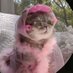 😺 قطة (@kimberl72412232) Twitter profile photo 😺 قطة (@kimberl72412232) Twitter profile photo
