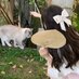 なみやまりえ (@tgji4wk6pucucq) Twitter profile photo なみやまりえ (@tgji4wk6pucucq) Twitter profile photo