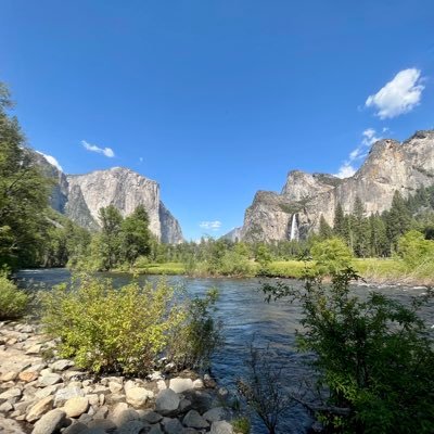 monstarlock's profile picture. 