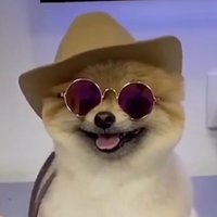 Frankie J (@frankiej_crypto) 's Twitter Profile Photo Frankie J (@frankiej_crypto) 's Twitter Profile Photo