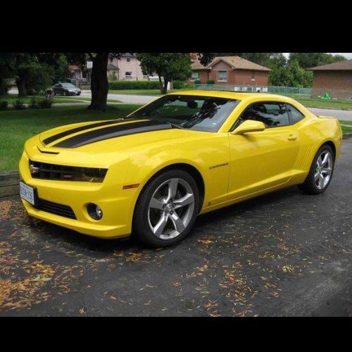 fbgg01's profile picture. 