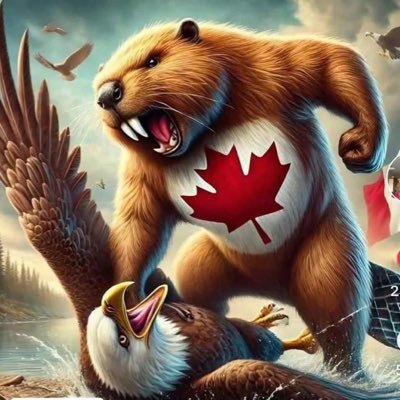 MaxBel30518's profile picture. Je me suis ouvert un compte ici exclusivement pour les conspi. C’est un des rare endroit où on peut voir cette sous espèce évoluer dans son milieu naturel