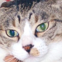 妳々さんのプロフィール画像