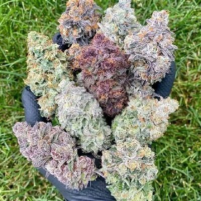 Check my telegram link out to see all my available products