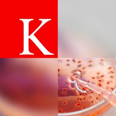 Empowering researchers to create life-changing innovation and impact at scale at King's College London