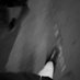 ₛᵢ𝓰 (@si_56g) Twitter profile photo
