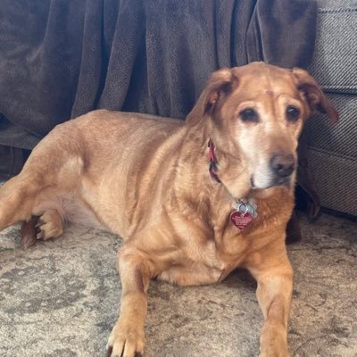 SmithMJ7209's profile picture. Wisconsin Sports Fanatic, Manchester City, Outdoorsman.