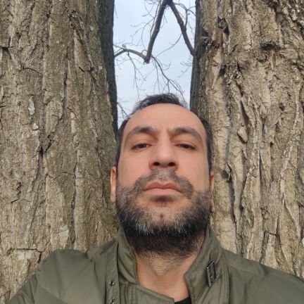 frameset's profile picture. 