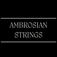 Ambrosian Strings (@jonathanstorer3) 's Twitter Profile