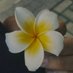 Sheya, CPA (@sheyacpa) Twitter profile photo Sheya, CPA (@sheyacpa) Twitter profile photo