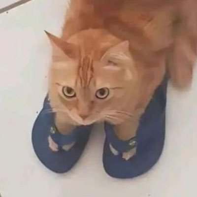 cynthialorena_'s profile picture. sigo acreditando no fim do hiatus, poxa Louis você me prometeu 🤡❤️