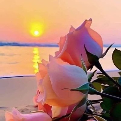 ABakry3255's profile picture. 