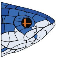 Big Fish (@bigfishfgc) 's Twitter Profile Photo Big Fish (@bigfishfgc) 's Twitter Profile Photo