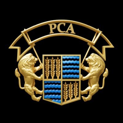 The Punjab Cricket Association is the governing body for cricket in Punjab, India