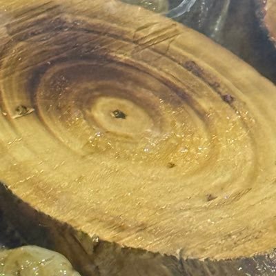 Renasfelek's profile picture. 