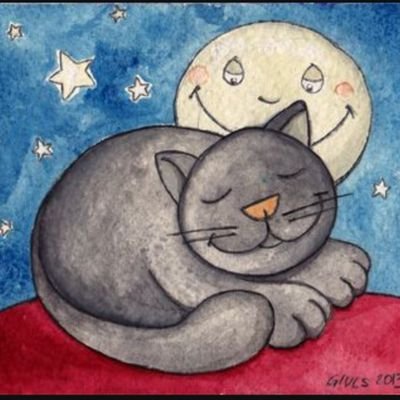 Amo gli animali.
Ho studiato Fisica. 🪩
No DM, se non per comunicazioni importanti, grazie.🫧
