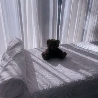 つき@取引垢 (@tsukimaki25) 's Twitter Profile