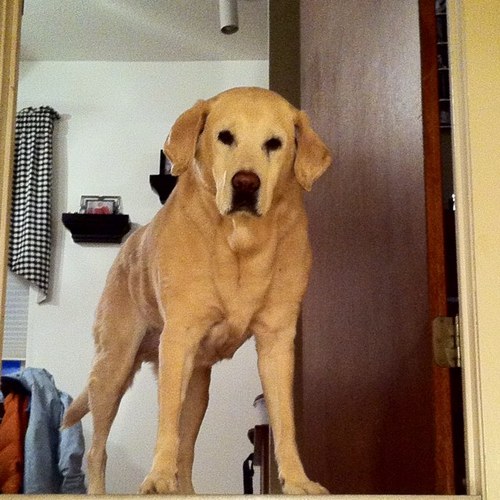 sbm21519's profile picture. 