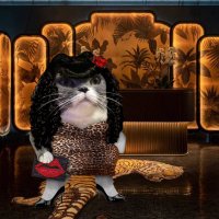 Stray Cat (@thinking_o_loud) 's Twitter Profile