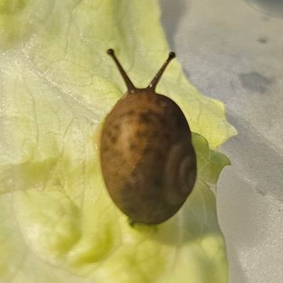 Vincenthaig2's profile picture. toy photographer maybe;-)

成年 严重的社交恐惧以及bpd

不喜欢在个人简介栏放任何非必要个人信息