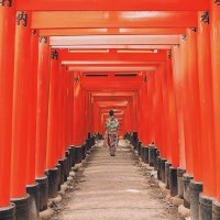 華音(カノン) (@rin_piona331) Twitter profile photo