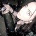 jane โก (@k122m3n0w) Twitter profile photo jane โก (@k122m3n0w) Twitter profile photo