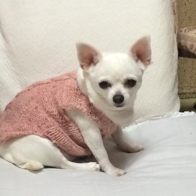 lN9vkkXYhd7XksC's profile picture. 望みは、自然に囲まれた穏やかな暮らし そのために闘っています！