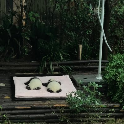 Louis117188's profile picture. 