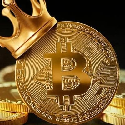 Fa238Mahmudi's profile picture. 