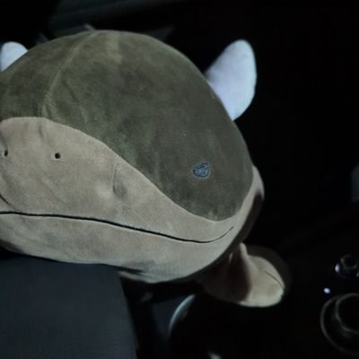 OHS movie監修 バケモンランキング3位!
2025抱負:
①Kaggleチャレンジ(Output型)
②GBLレジェンド(万年ベテラン止まり😭)
③運動を習慣化(30分以上を週3回)