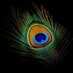 Abhishek Verma (@abhishekve56444) Twitter profile photo Abhishek Verma (@abhishekve56444) Twitter profile photo