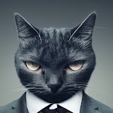 XGuerrillaCoder's profile picture. 