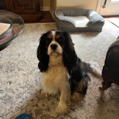 ro40396542's profile picture. 