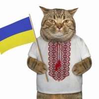 Богдан (@bohdanks1) 's Twitter Profile Photo Богдан (@bohdanks1) 's Twitter Profile Photo