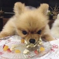 누키 (@nukii929) 's Twitter Profile Photo 누키 (@nukii929) 's Twitter Profile Photo
