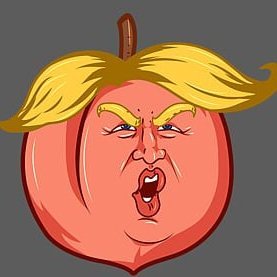 ImpeachTrumpSOL's profile picture. 