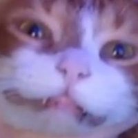 Tot3m (@tot3m351324) 's Twitter Profile