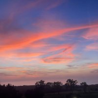 Jiayan_He (@jiayanhe_) 's Twitter Profile