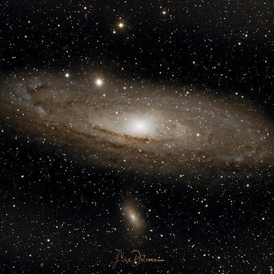 LisaDelcou11618's profile picture. 