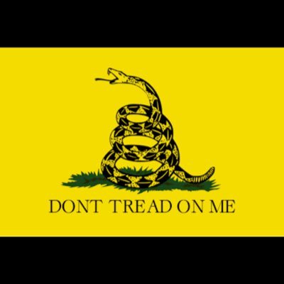 Patriots, #MAGA #MAHA Family Man, 1A 2A Proud Georgian ❌DM ❌PORN Gets you Deleted