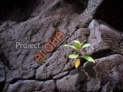 ProjectAloha Profile