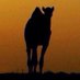 Saud Al (@saud_a97s) Twitter profile photo Saud Al (@saud_a97s) Twitter profile photo