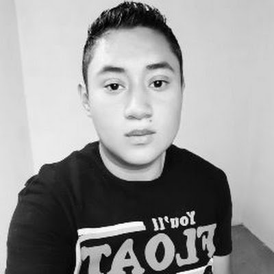 YAYOTOYS135186's profile picture. 