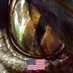 Eyes in the Abyss (@eyes_of_shadows) Twitter profile photo Eyes in the Abyss (@eyes_of_shadows) Twitter profile photo