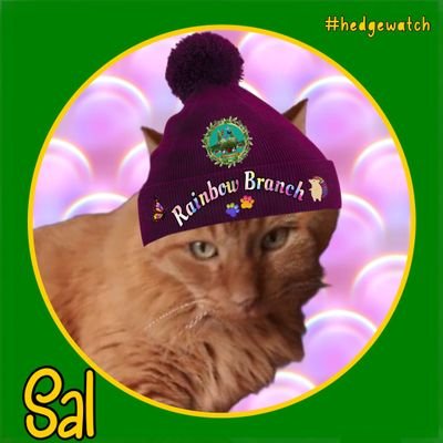 My old Twitter account nsm0220 got stolen this my backup. I love animals anime #CatsofTwittter #Hedgewatch #theaviators #ZSHQ #theRuffRiderz
